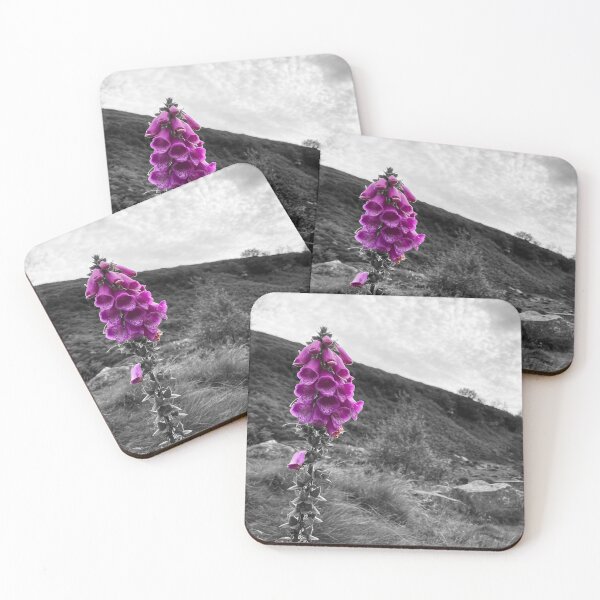 Item preview, Selective Color Purple Foxglove Black and White Countryside Photography designed and sold by OnHeathAndMoor.