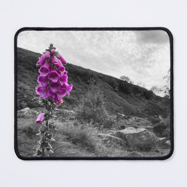 Item preview, Selective Color Purple Foxglove Black and White Countryside Photography designed and sold by OnHeathAndMoor.