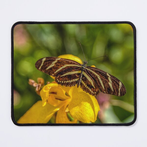 Item preview, Butterfly on Yellow Flower designed and sold by River Oak Media.