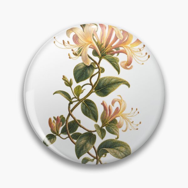 Item preview, Honeysuckle | Cottage Garden Botanical Art | Flower Lover Gift designed and sold by Brackenlume Studio.