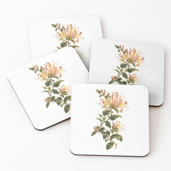 Item preview, Honeysuckle | Cottage Garden Botanical Art | Flower Lover Gift designed and sold by Brackenlume Studio.