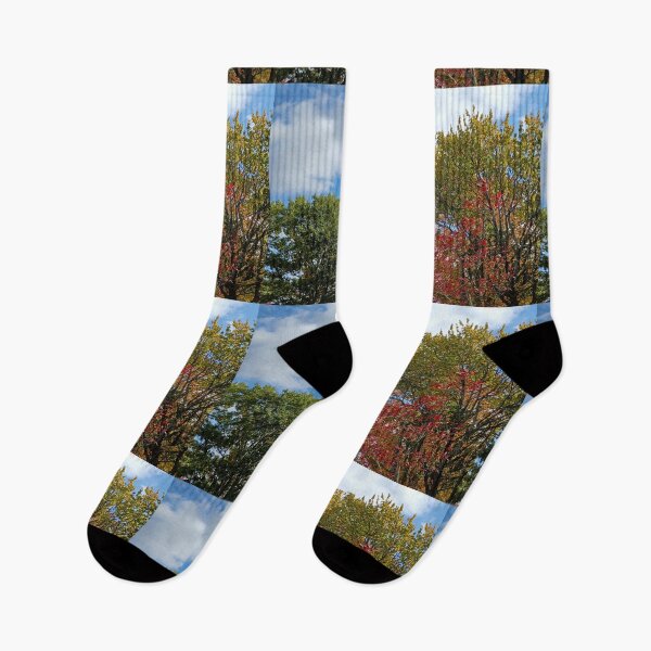 Item preview, Fall colorful leaves in blue sky and white clouds designed and sold by naturematters.