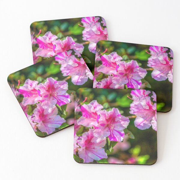 Item preview, Encore Azalea designed and sold by River Oak Media.