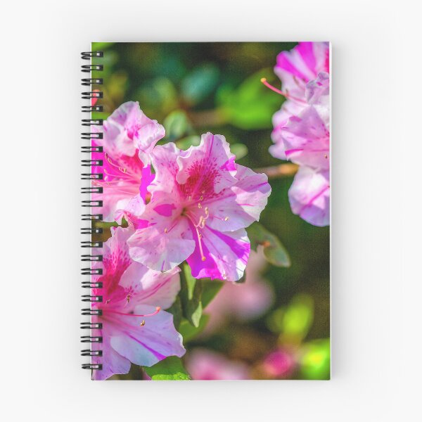 Item preview, Encore Azalea designed and sold by River Oak Media.