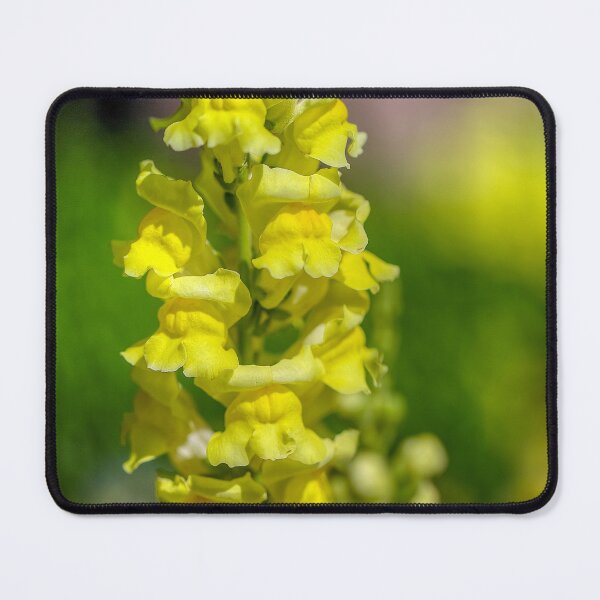 Item preview, Yellow in the garden designed and sold by River Oak Media.