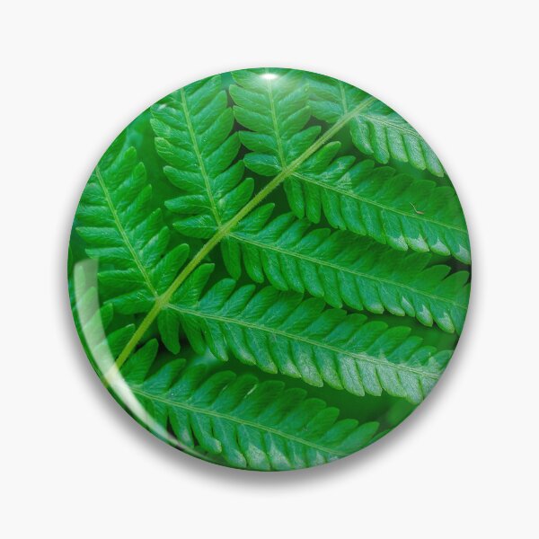 Item preview, Fern Texture designed and sold by River Oak Media.