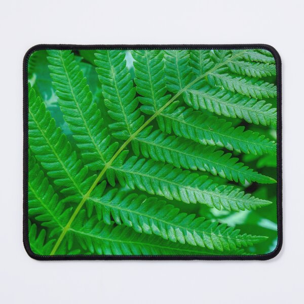 Item preview, Fern Texture designed and sold by River Oak Media.