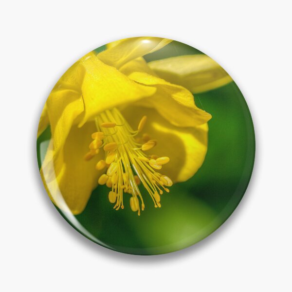 Item preview, Yellow blossom designed and sold by River Oak Media.