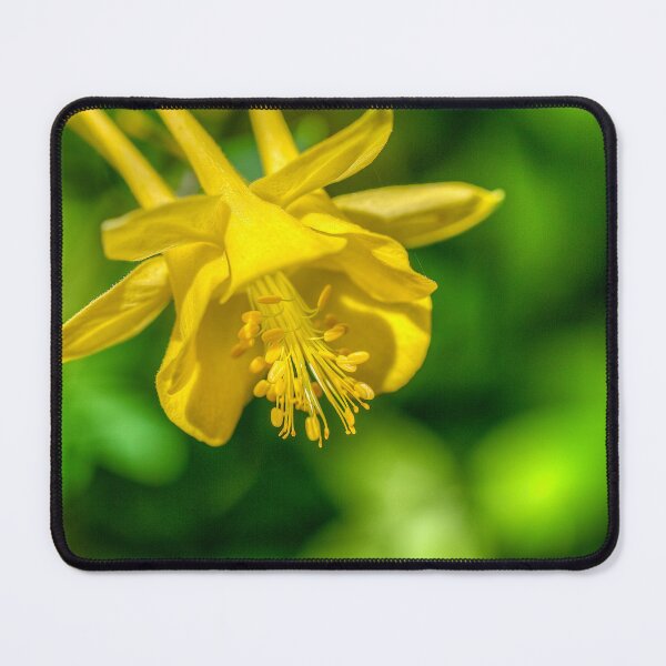 Item preview, Yellow blossom designed and sold by River Oak Media.
