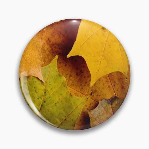 Item preview, Golden Autumn Leaves – Fall Foliage Nature Photography Print designed and sold by BuckaBaby.