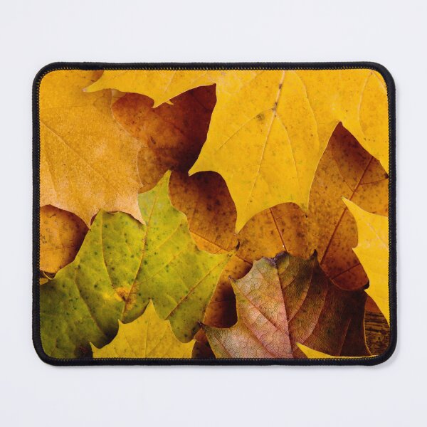 Item preview, Golden Autumn Leaves – Fall Foliage Nature Photography Print designed and sold by BuckaBaby.