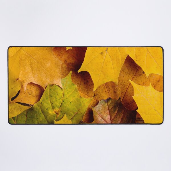 Item preview, Golden Autumn Leaves – Fall Foliage Nature Photography Print designed and sold by BuckaBaby.