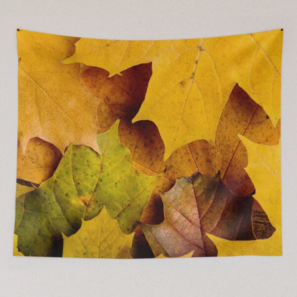 Item preview, Golden Autumn Leaves – Fall Foliage Nature Photography Print designed and sold by BuckaBaby.