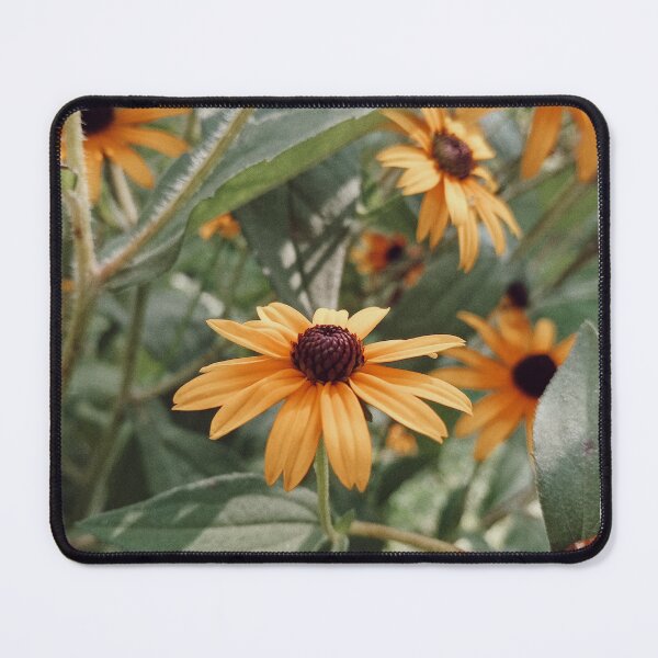 Item preview, Yellow Black Eyed Susan Wildflowers Garden Photography designed and sold by Nature Moments.