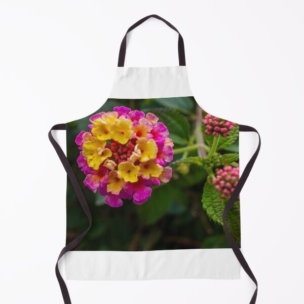 Item preview, Close-Up Of Vibrant Lantana Flowers With Pink And Yellow Petals In Garden Macro Photograph designed and sold by Nmallia.