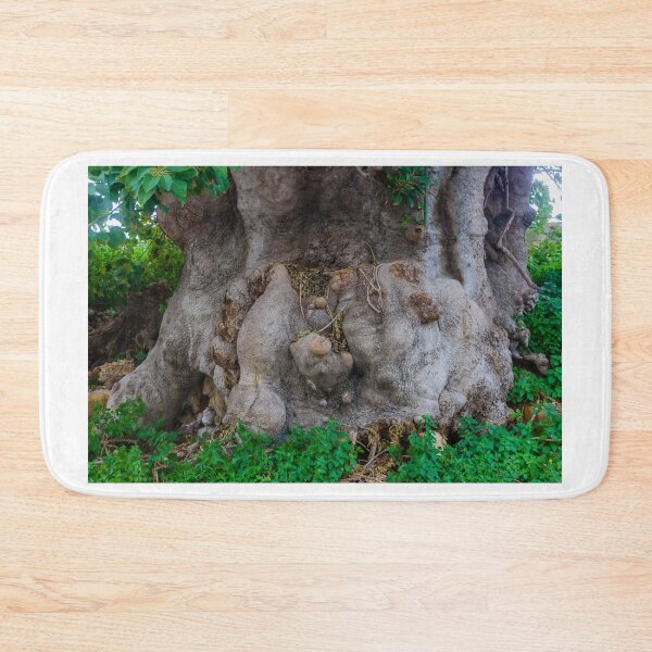 Item preview, Ancient Gnarled Tree Trunk Closeup Showing Knotted Roots, Weathered Bark and Textured Base designed and sold by Nmallia.