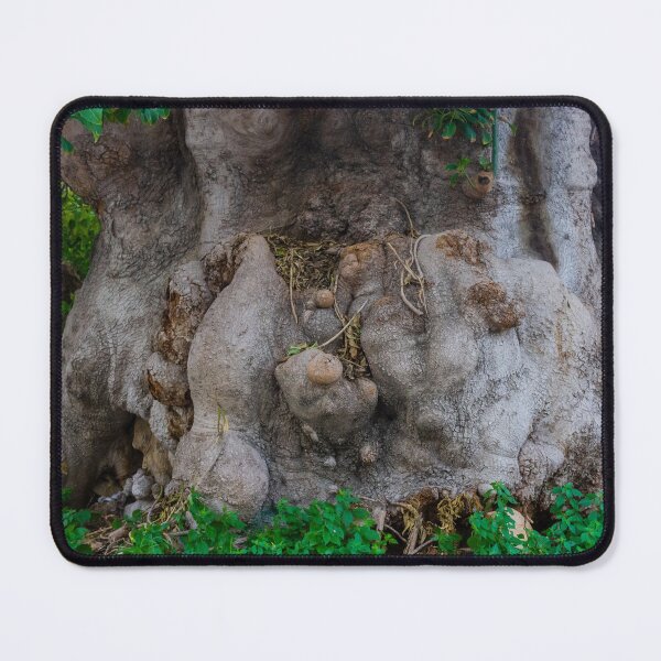 Item preview, Ancient Gnarled Tree Trunk Closeup Showing Knotted Roots, Weathered Bark and Textured Base designed and sold by Nmallia.