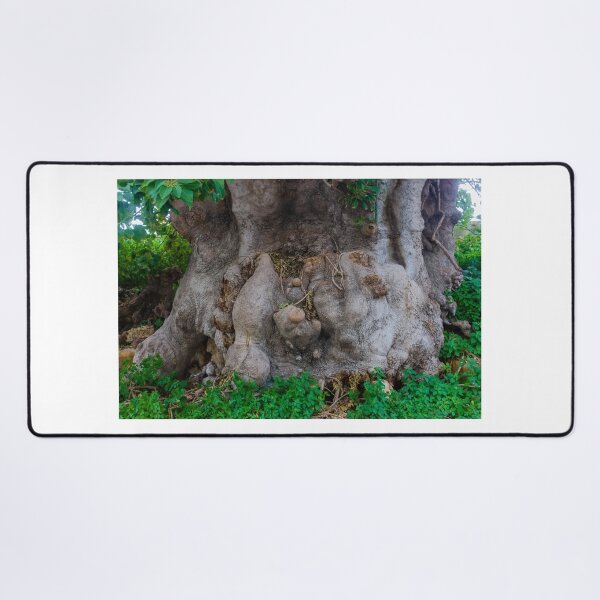 Item preview, Ancient Gnarled Tree Trunk Closeup Showing Knotted Roots, Weathered Bark and Textured Base designed and sold by Nmallia.