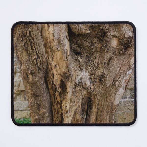 Item preview, Old Gnarled Tree Trunk With Weathered Bark Texture Against Stone Wall In Garden Setting designed and sold by Nmallia.
