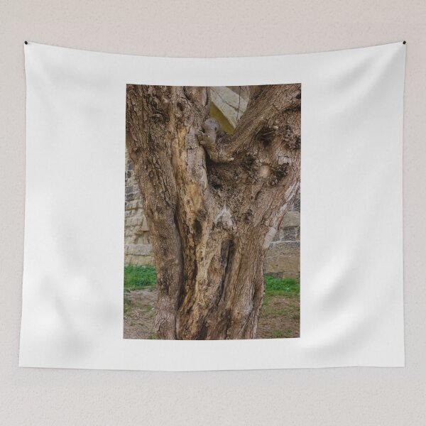 Item preview, Old Gnarled Tree Trunk With Weathered Bark Texture Against Stone Wall In Garden Setting designed and sold by Nmallia.
