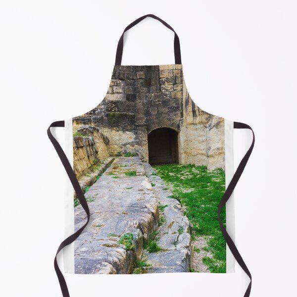 Item preview, Ancient Stone Tunnel Entrance and Weathered Ruins With Green Grass and Mossy Pathway designed and sold by Nmallia.