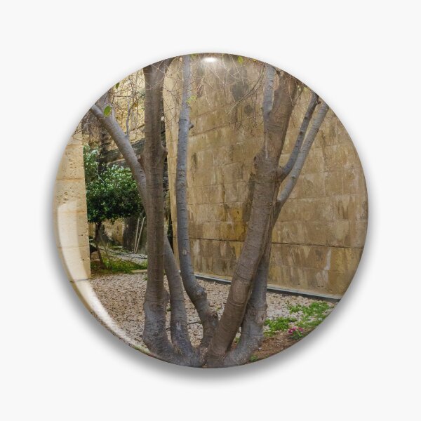Item preview, Leafless Garden Tree With Colorful Pansies In A Stone Courtyard Beside Historic Wall designed and sold by Nmallia.