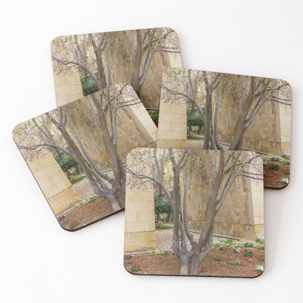 Item preview, Leafless Garden Tree With Colorful Pansies In A Stone Courtyard Beside Historic Wall designed and sold by Nmallia.