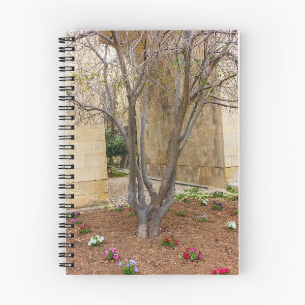 Item preview, Leafless Garden Tree With Colorful Pansies In A Stone Courtyard Beside Historic Wall designed and sold by Nmallia.