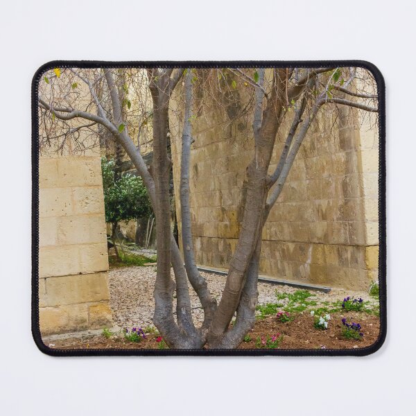Item preview, Leafless Garden Tree With Colorful Pansies In A Stone Courtyard Beside Historic Wall designed and sold by Nmallia.