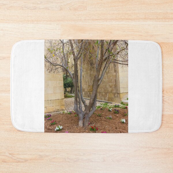 Item preview, Leafless Garden Tree With Colorful Pansies In A Stone Courtyard Beside Historic Wall designed and sold by Nmallia.