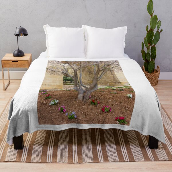 Item preview, Leafless Garden Tree With Colorful Pansies In A Stone Courtyard Beside Historic Wall designed and sold by Nmallia.