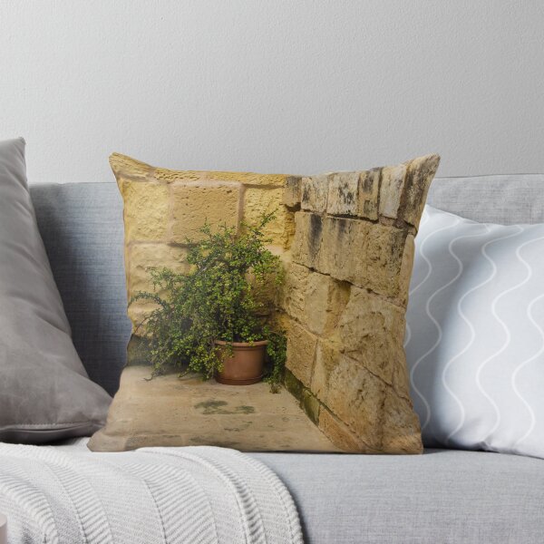 Item preview, Potted Green Plant in Corner Between Weathered Yellow Stone Walls on Historic Terrace designed and sold by Nmallia.