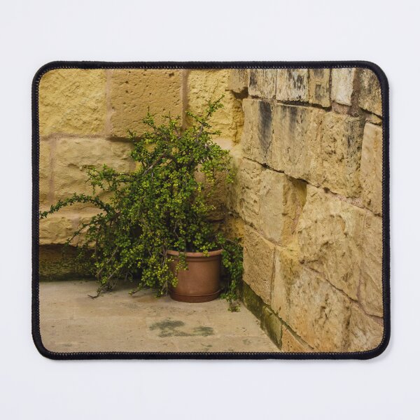 Item preview, Potted Green Plant in Corner Between Weathered Yellow Stone Walls on Historic Terrace designed and sold by Nmallia.