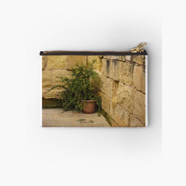 Item preview, Potted Green Plant in Corner Between Weathered Yellow Stone Walls on Historic Terrace designed and sold by Nmallia.