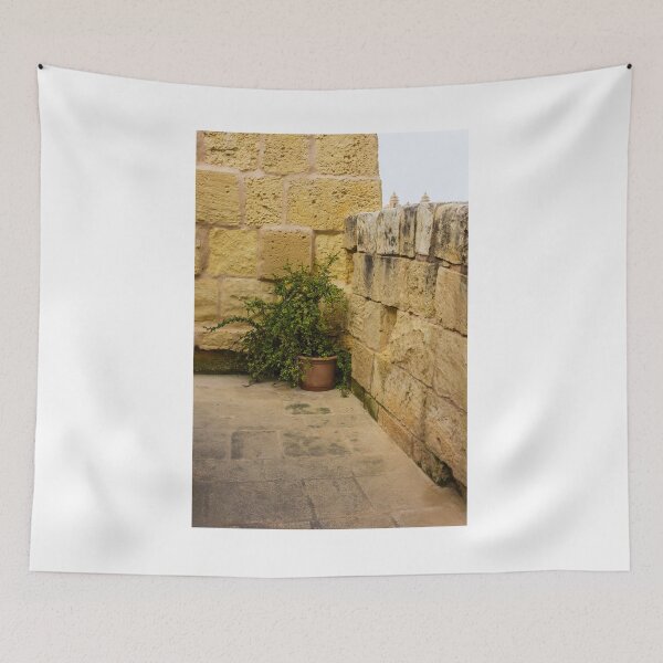 Item preview, Potted Green Plant in Corner Between Weathered Yellow Stone Walls on Historic Terrace designed and sold by Nmallia.