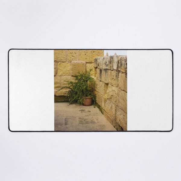 Item preview, Potted Green Plant in Corner Between Weathered Yellow Stone Walls on Historic Terrace designed and sold by Nmallia.