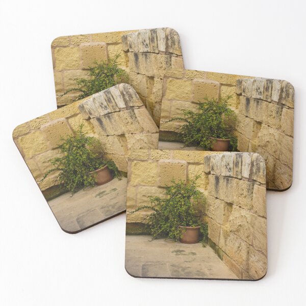 Item preview, Potted Green Plant in Corner Between Weathered Yellow Stone Walls on Historic Terrace designed and sold by Nmallia.