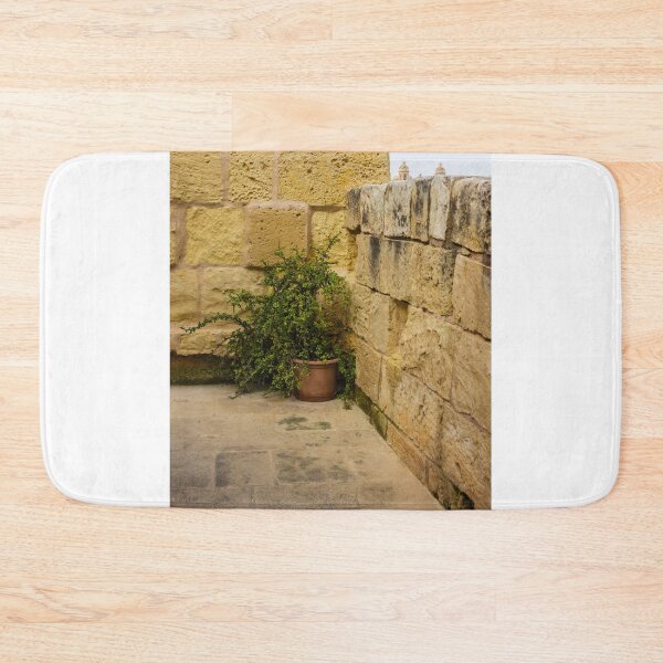 Item preview, Potted Green Plant in Corner Between Weathered Yellow Stone Walls on Historic Terrace designed and sold by Nmallia.