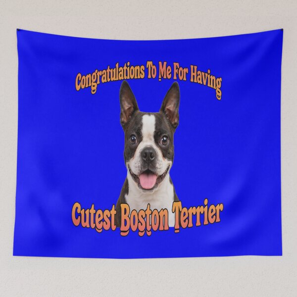 Item preview, Boston Terrier Dog Congratulations To Me For Having The Cutest Boston Terrier designed and sold by fantasticdesign.