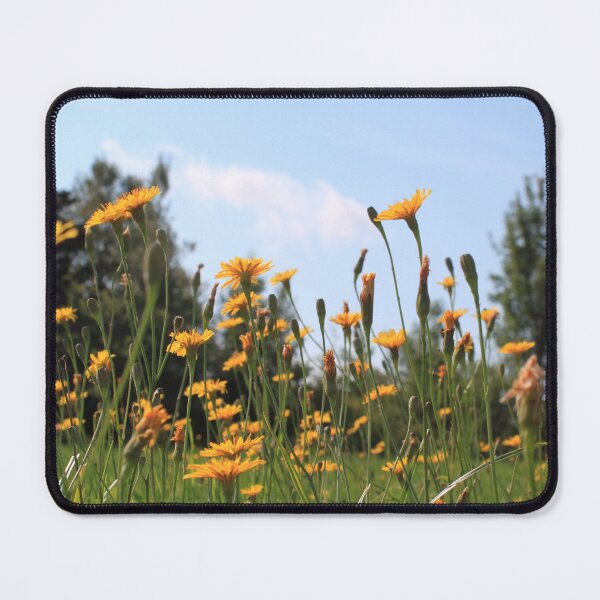 Item preview, Yellow wildflowers meadow in blue sky designed and sold by naturematters.