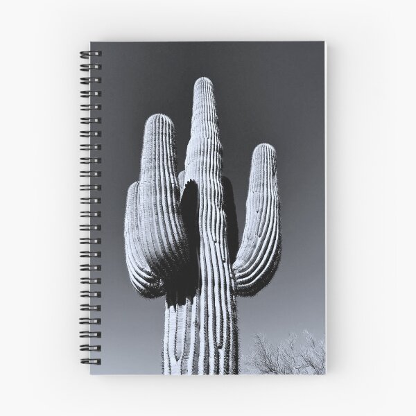 Item preview, Silvertone Saguaro Cactus Photograph designed and sold by meganlaub1.