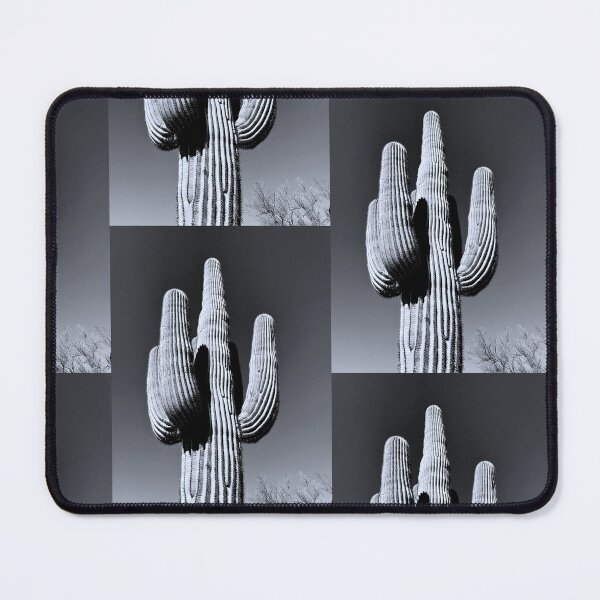 Item preview, Silvertone Saguaro Cactus Photograph designed and sold by meganlaub1.