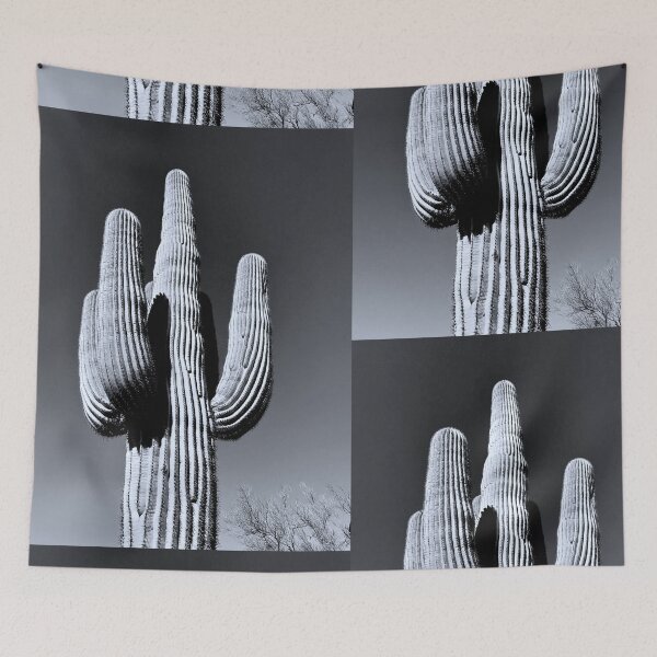 Item preview, Silvertone Saguaro Cactus Photograph designed and sold by meganlaub1.