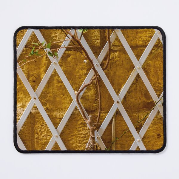 Item preview, Climbing Vine on White Trellis Against Textured Yellow Brick Wall Rustic Garden Background designed and sold by Nmallia.