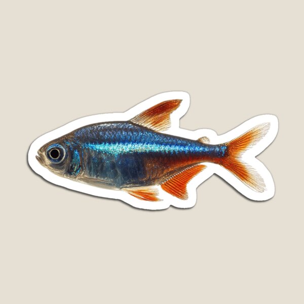 Item preview, Neon tetra fish   designed and sold by Andi0car29.