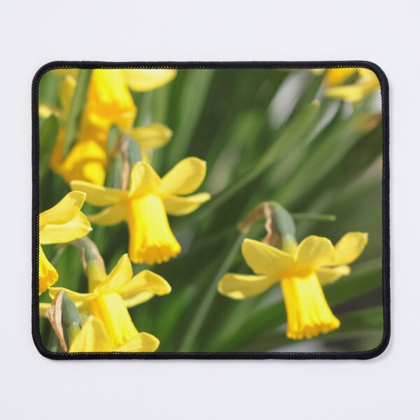 Item preview, Yellow flowers designed and sold by naturematters.