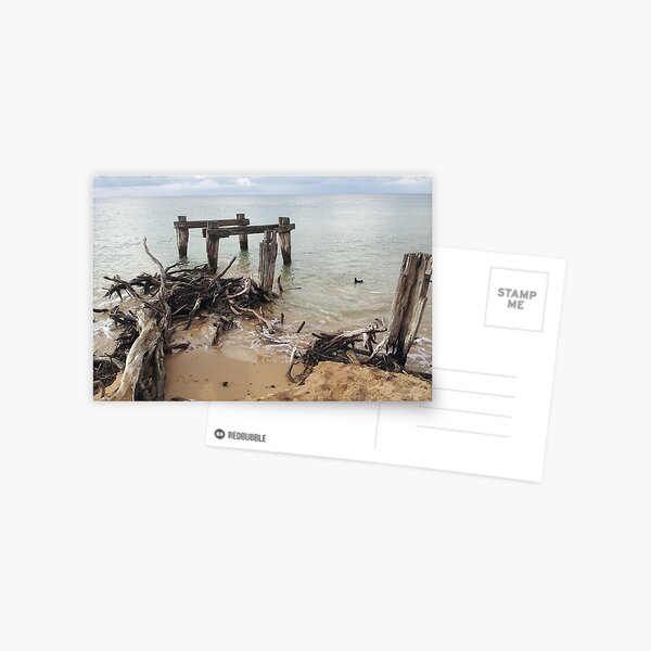 Old pier, driftwood, ocean at Point Nepean, Victoria, Australia Postcard