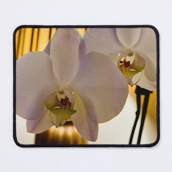 Item preview, White Orchid – Soft Lamp Glow designed and sold by QuietBloomDHS.