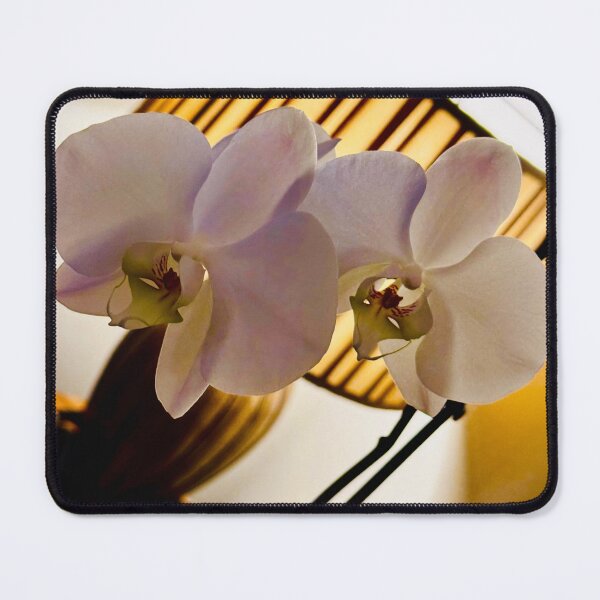 Item preview, White and Blue Orchid – Gentle Pair designed and sold by QuietBloomDHS.