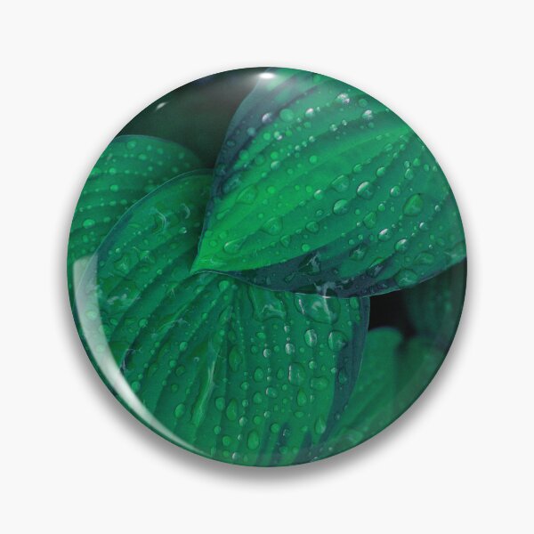 Item preview, ‘Dew Drops’ Botanical Graphic designed and sold by NotTomsArt.
